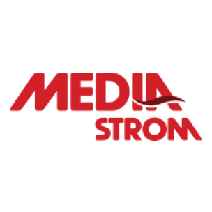 Media Storm Logo